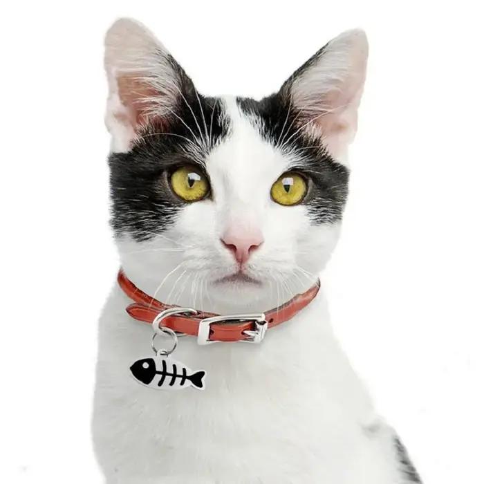 Plaque d'identification personnalisée pour animaux de compagnie avec gravure gratuite
