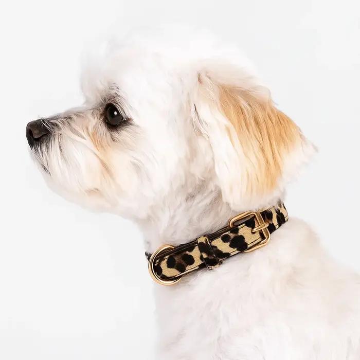 Collier pour chien imprimé léopard à la mode en cuir PU collier pour animaux de compagnie réglable résistant à l'usure collier pour animaux de compagnie petits chiens moyens