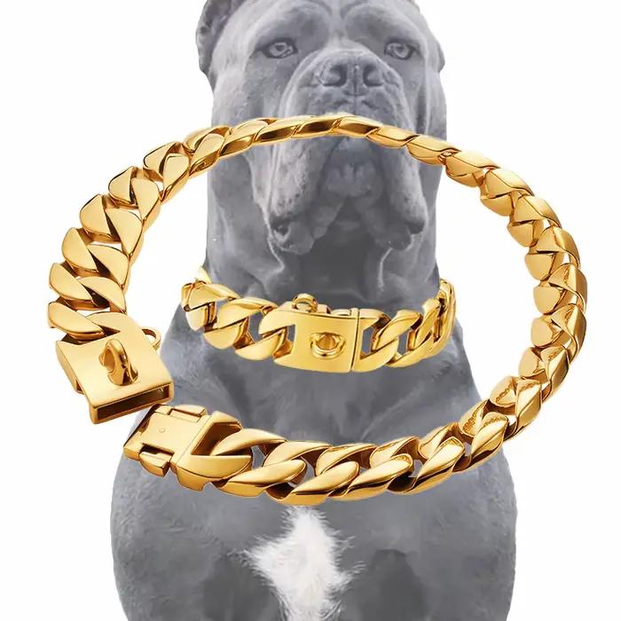 Collier en acier inoxydable doré ou argenté pour chiens grandes races occasions spéciales promenades compétitions canines cadeau anniversaire