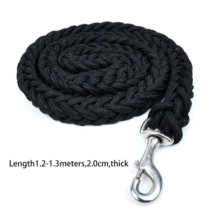 Laisse pour chien pour une formation efficace et une marche confortable