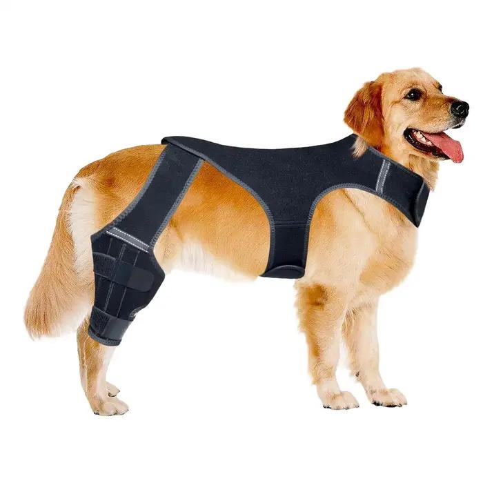 Attelle de jambe pour chien réglable avec 4 stabilisateurs métalliques – Soutien arrière pour la randonnée, l'exercice et les activités de plein air