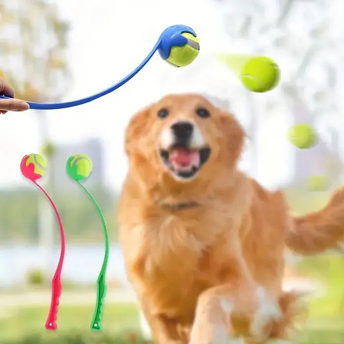 Ensemble de lanceurs de balles de Tennis pour animaux de compagnie