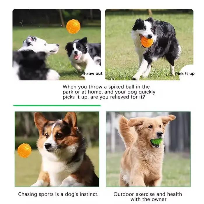 Boule à mâcher pour chien à pointes grinçantes TPR