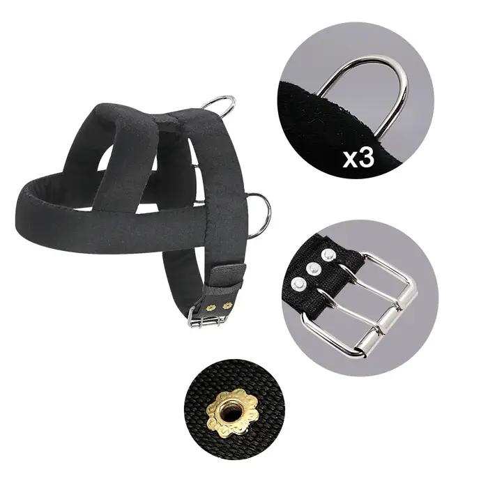 Harnais de traction pour chien avec laisse