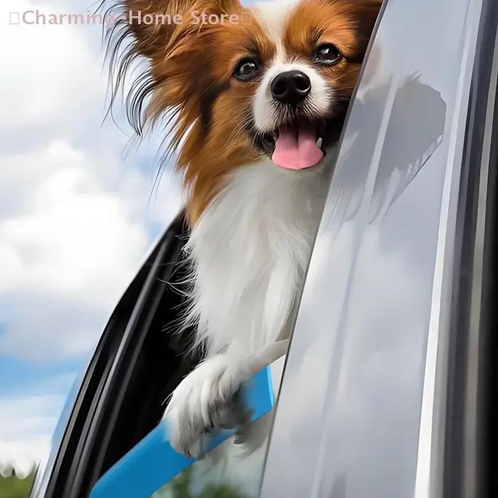 【M】Coussin de fenêtre de voiture en mousse pour chien