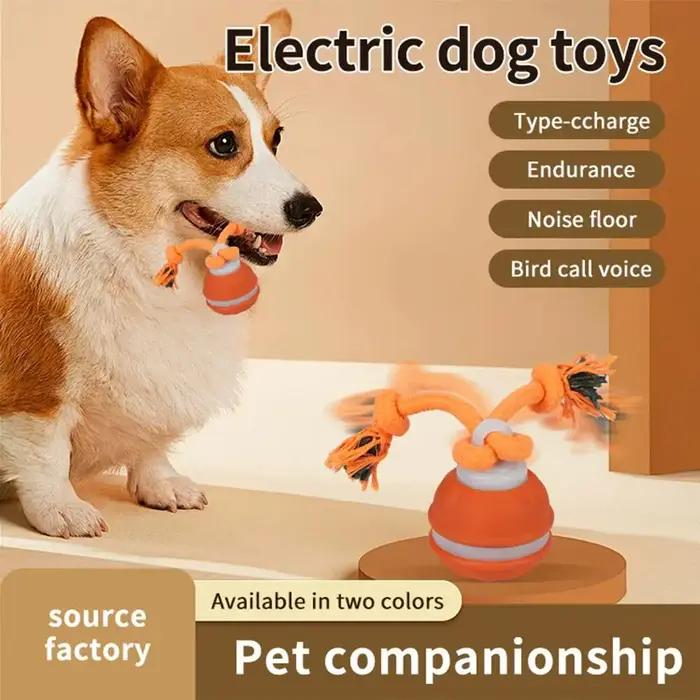 Jouets interactifs pour chiens, balle à activation par mouvement, balle roulante pour chiots/petits chiens, jouet à mouvement automatique, jouet rechargeable par USB
