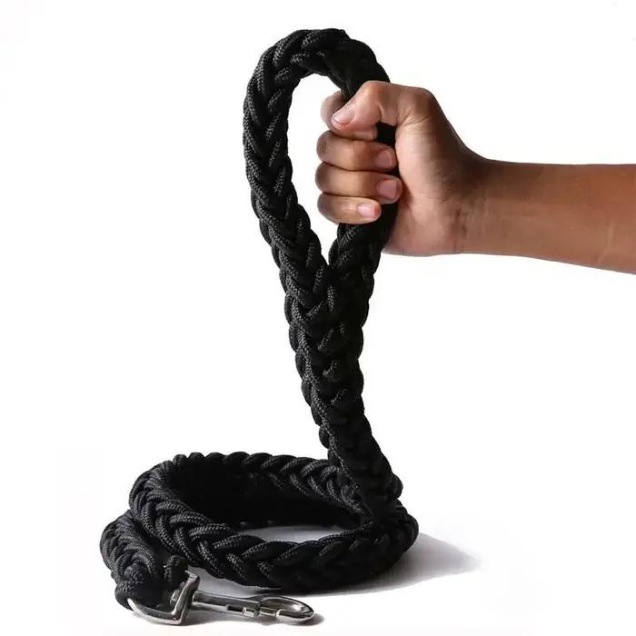 Laisse pour chien de grande taille