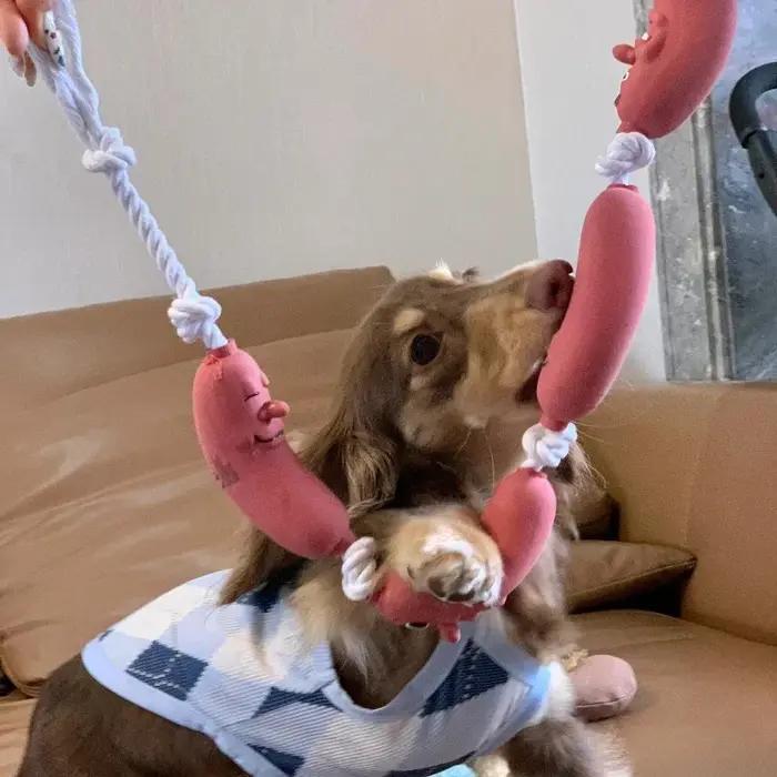 Jouet à mâcher pour chien en forme de saucisse