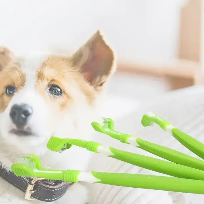 Brosse à dents pour animaux de compagnie