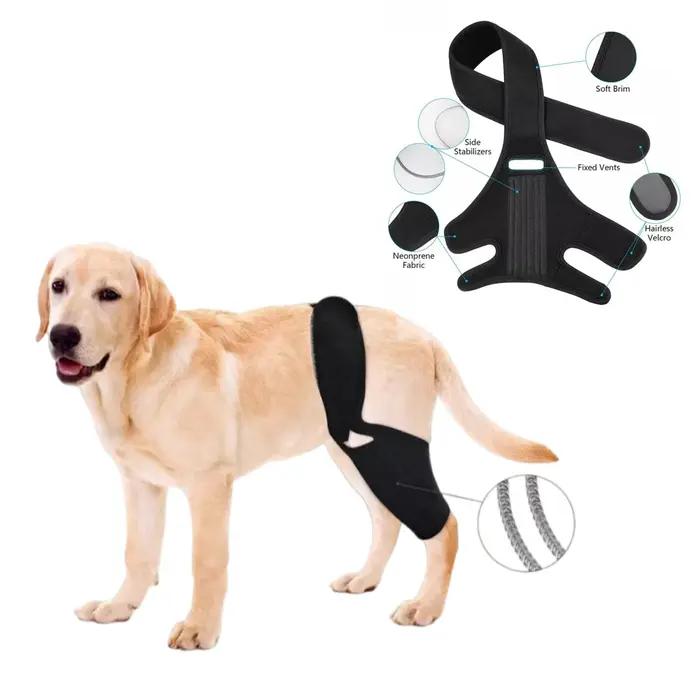 Attelle de Soutien Ajustable pour Hanches et Jambes de Chien avec Support en Acier et Bande en Caoutchouc Chloroprène