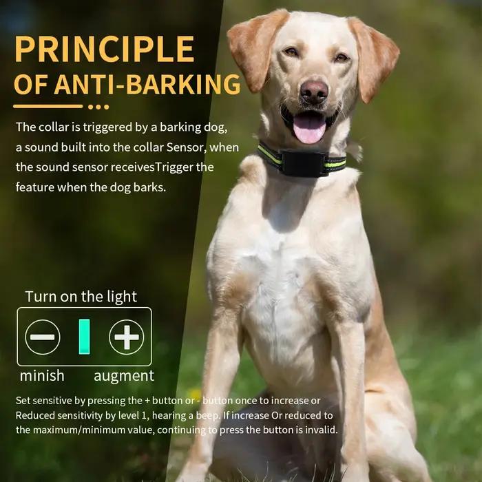 Arrêt automatique pour chien, collier électrique pour chien de compagnie, dispositif ultrasonique pour aboiement de chien, collier anti-choc, clôture pour chien