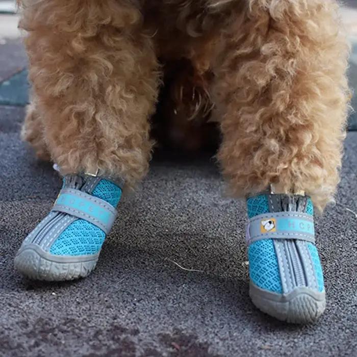 Chaussures pour chien semelles antidérapantes épais en peluche Protection patte