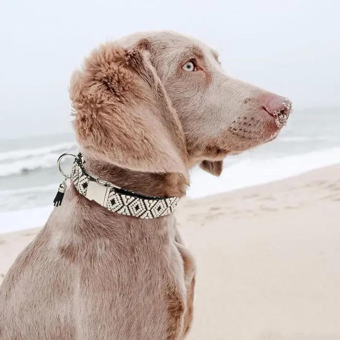 Colliers pour animaux de compagnie de Style ethnique bohème pour petits