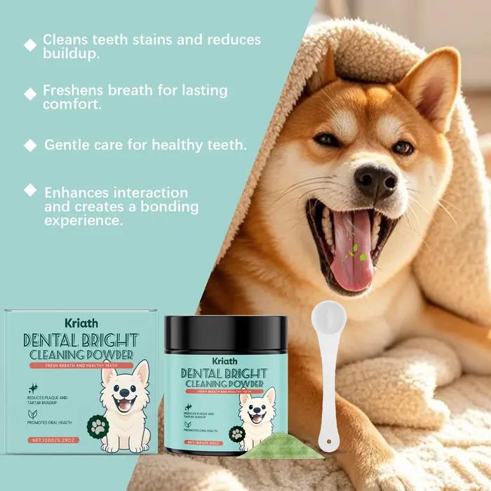 Poudre Nettoyante pour Dents de Chien : Élimine les Taches Superficielles