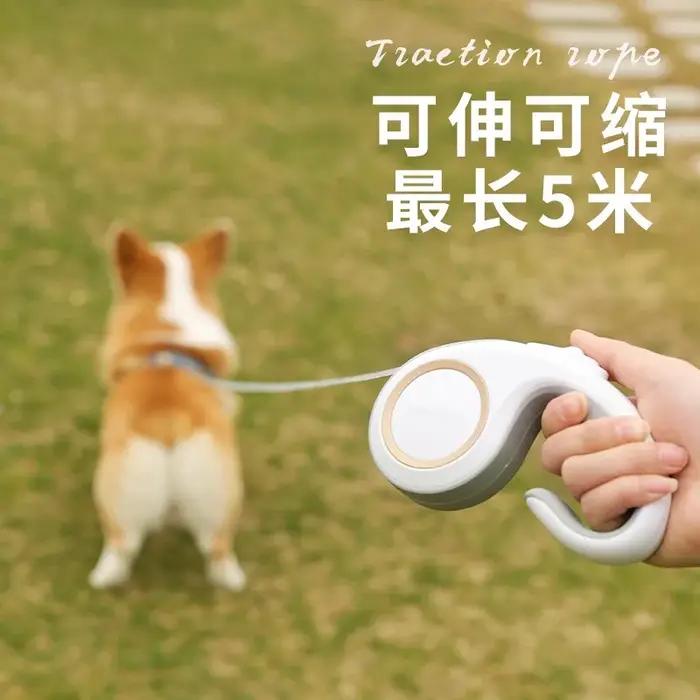 Laisse rétractable automatique en peluche pour chien
