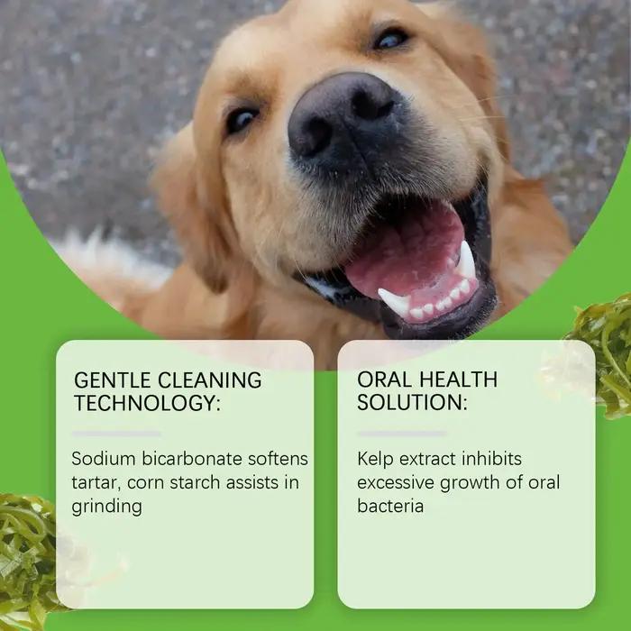 Poudre Nettoyante pour Dents de Chien Protection de la Santé Buccale Hygiène Dentaire Anti-Tache Amélioration de l'Haleine Fraîche Usage Daily Occasions Spéciales