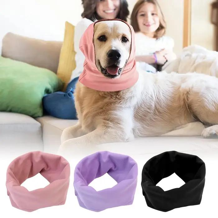 Cache-oreilles pour chien