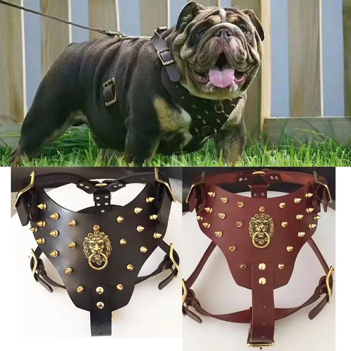 Collier de harnais d'entraînement sportif bouledogue