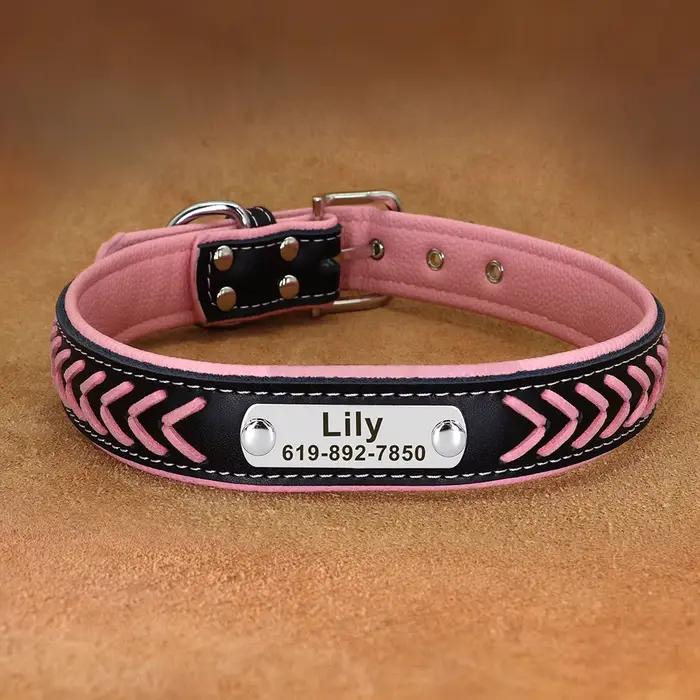 Collier de chien personnalisé en cuir rembourré pour chiens