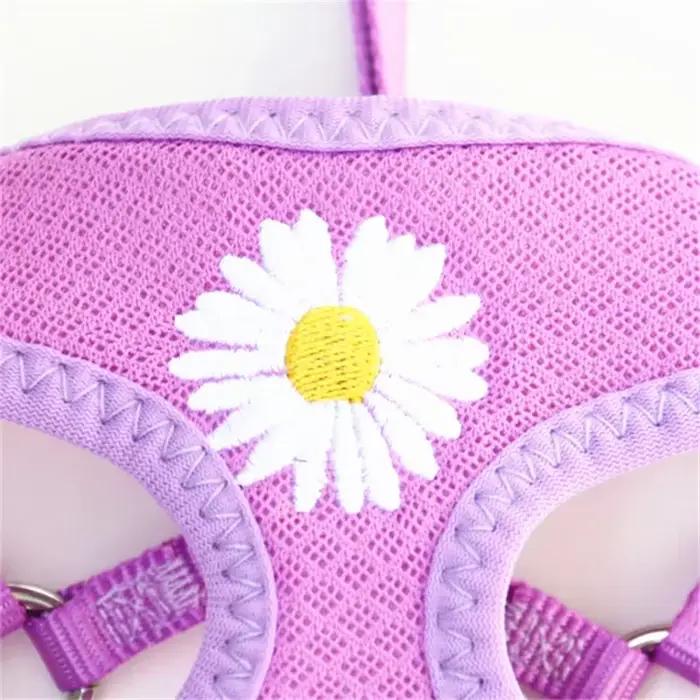 Harnais et laisse pour petits et moyens chiens, ensemble harnais pour chaton, broderie marguerite, collier pour chiot, chaton mignon, Chihuahua, Yorkie