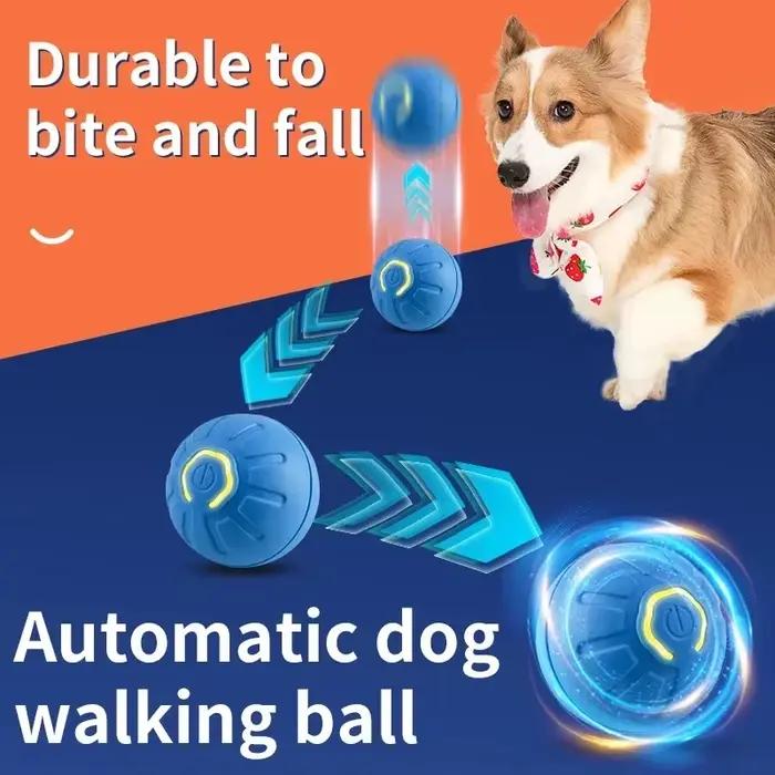 Jouets intelligents pour chiens