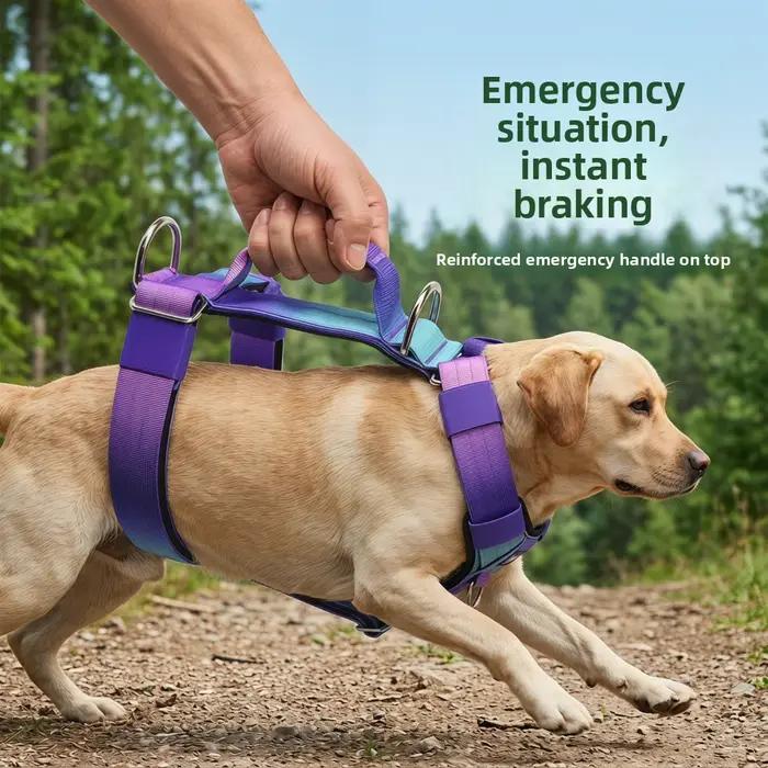Harnais respirant COARID dégradé réfléchissant pour chien confortable et sécurisé toutes les saisons occasions spéciales chiens de taille moyenne à grande