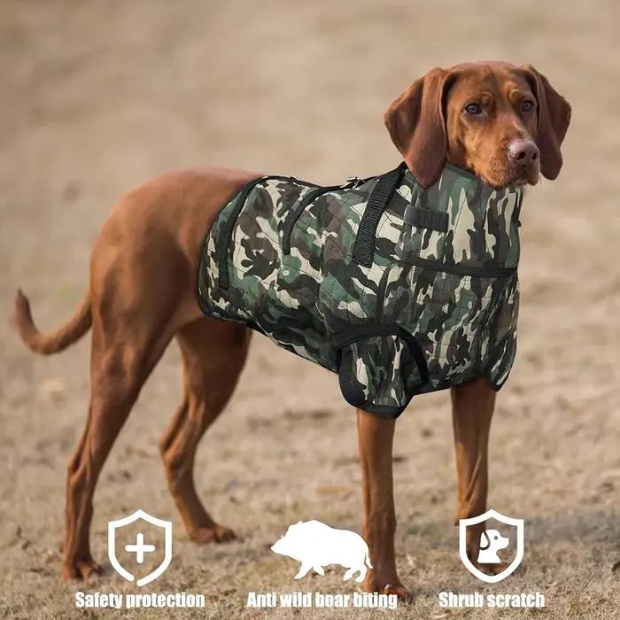 Armure de chien de chasse en lin verte pour protection tout-terrain et toutes les saisons
