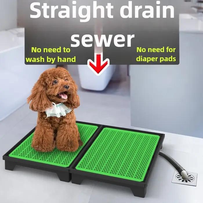 Toilettes à chasse d'eau pour chien