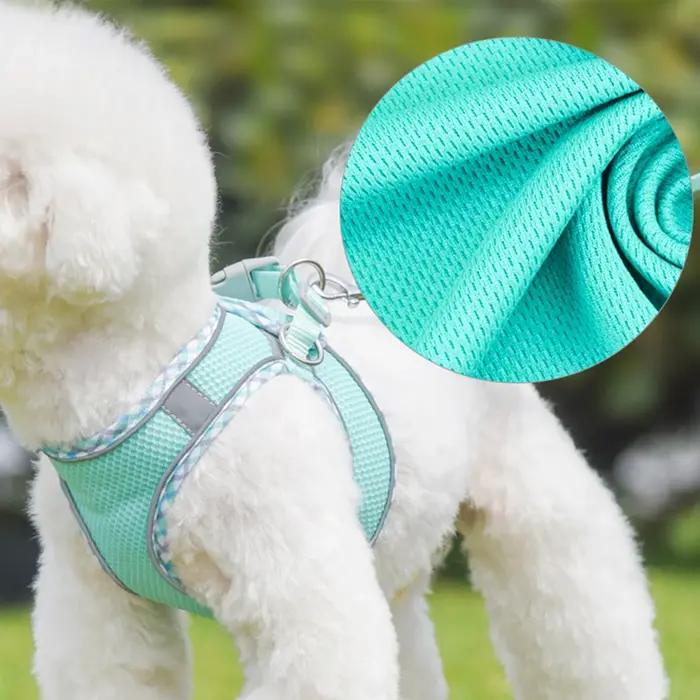 Harnais et laisse pour chien pour la promenade en extérieur