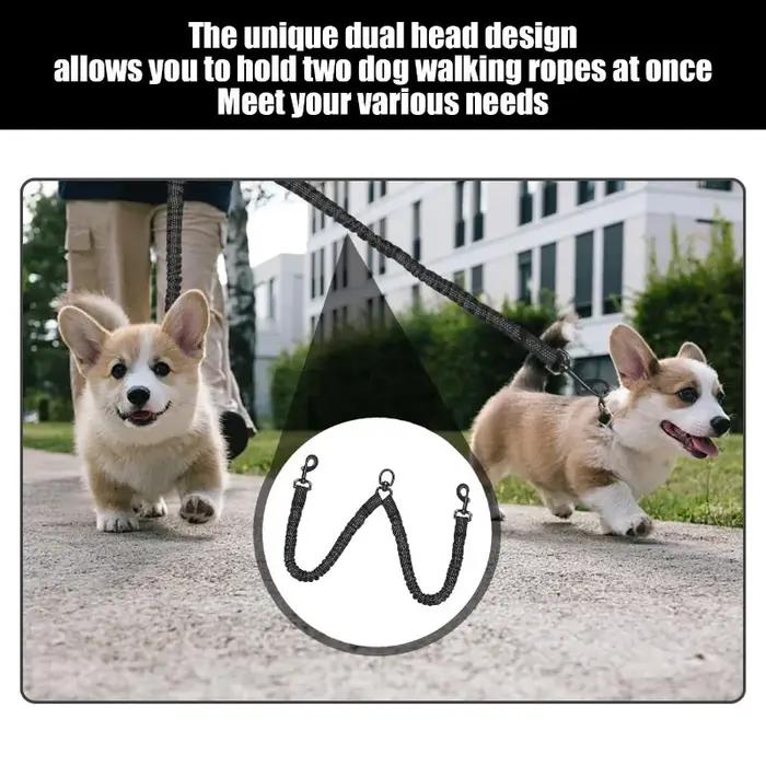 Doublures de laisse résistantes pour chiens avec points réfléchissants pour promenades nocturnes et sécurité maximale pour chiots et chiens adultes