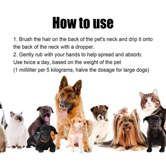 Sérum Nourrissant pour Poils de Chien Yegbong – Gouttes Hydratantes