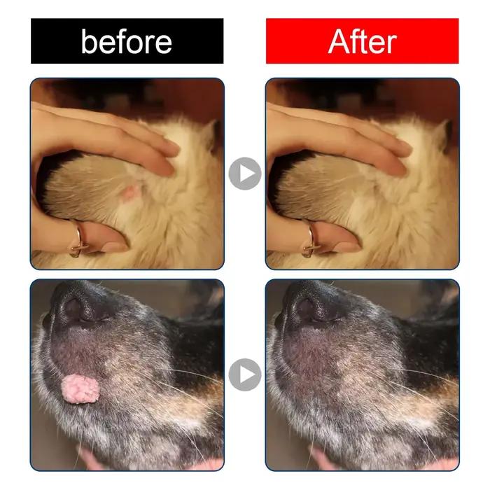 Traitement anti-verrues pour chiens et chats