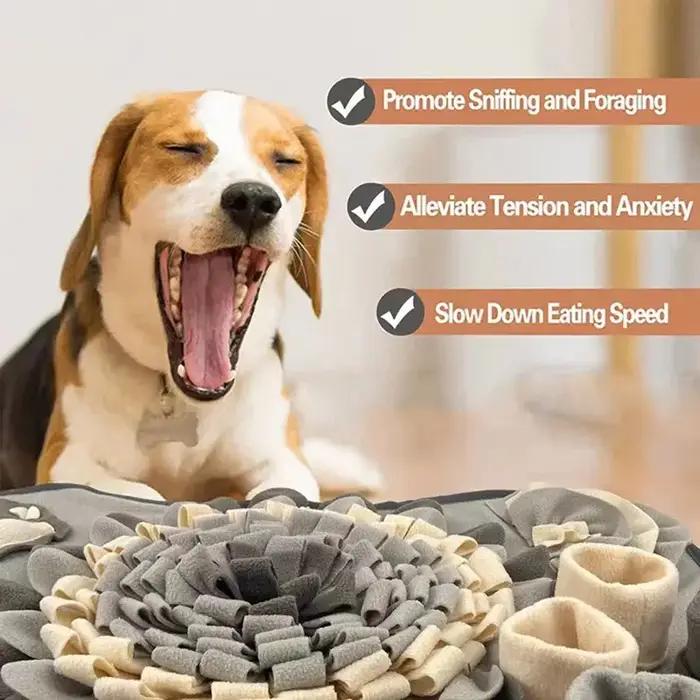 Polymères d'odeur pour animaux de compagnie