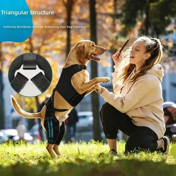 Attelle soutien jambe arrière pour chien