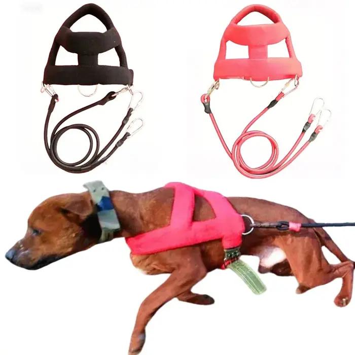 Harnais de traction pour chien avec laisse