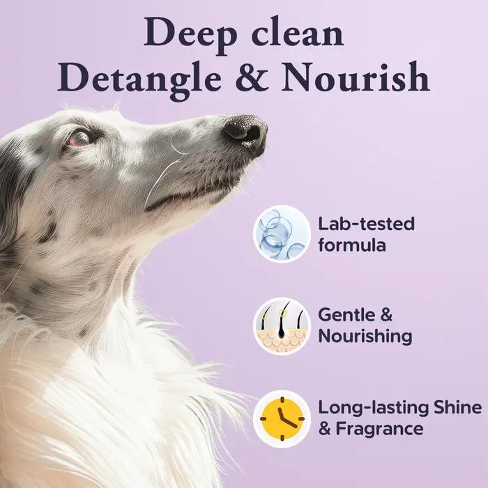 Shampooing et après-shampooing 2 en 1 pour chien, parfum lavande, apaisant, désodorisant, hydratant, pour un pelage brillant, hypoallergénique, pour chiens et chats