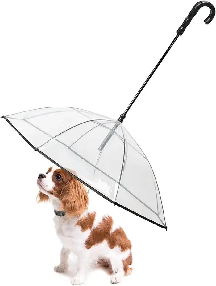 ATUBAN Parapluie pour chien avec laisse pour petits animaux