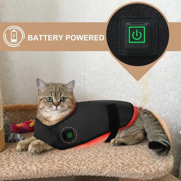 Appareil de physiothérapie à LED à lumière rouge pour animaux de compagnie