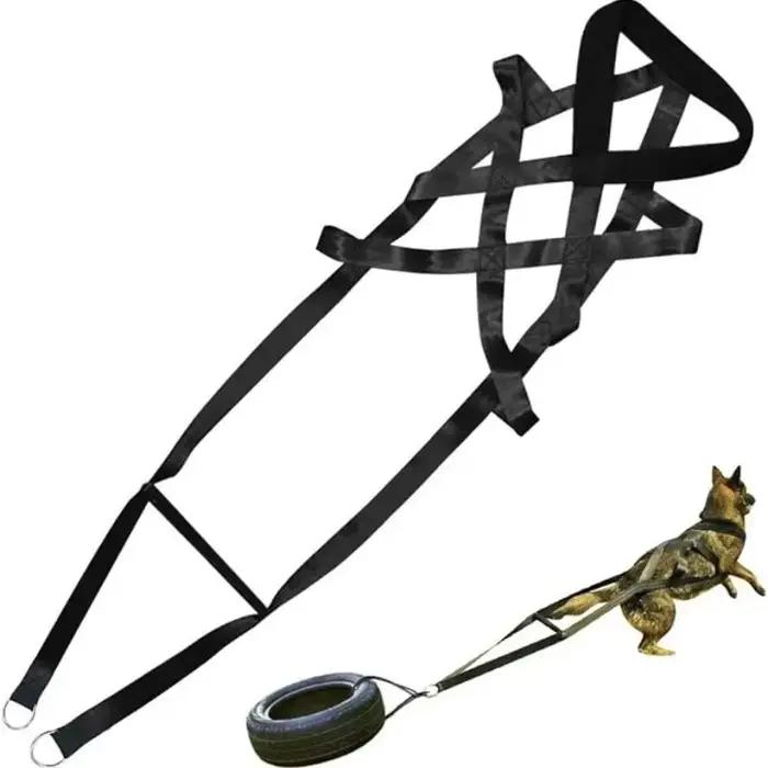 Laisse de traction robuste pour chien de travail, ceinture de sécurité pour l'entraînement de la tra