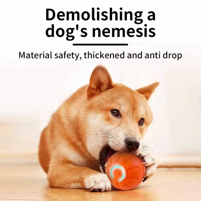 Balle de jouet pour chien en mouvement automatique