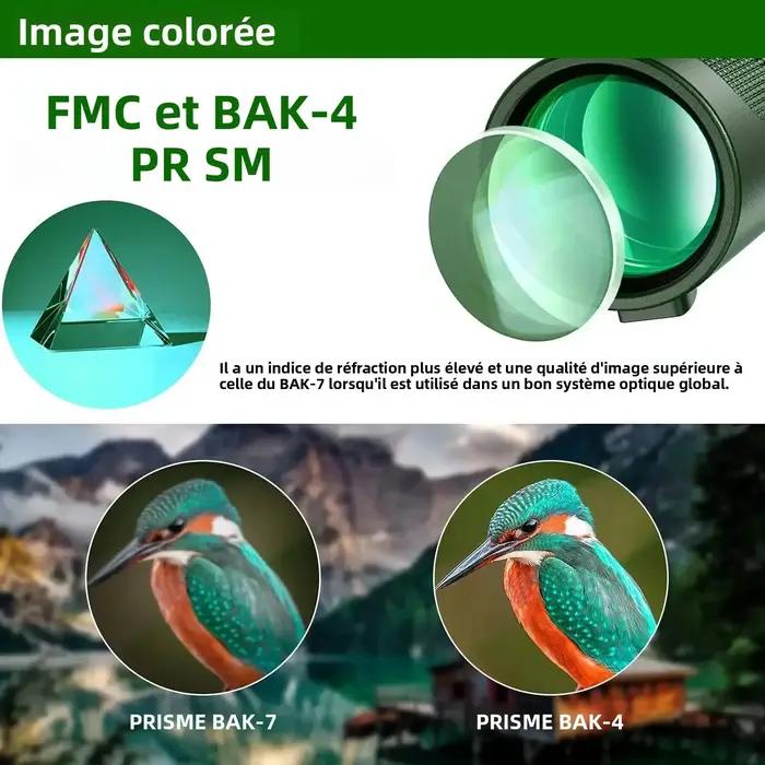 Télescope monoculaire HD compact jour et nuit pour observation chasse discrète et portable
