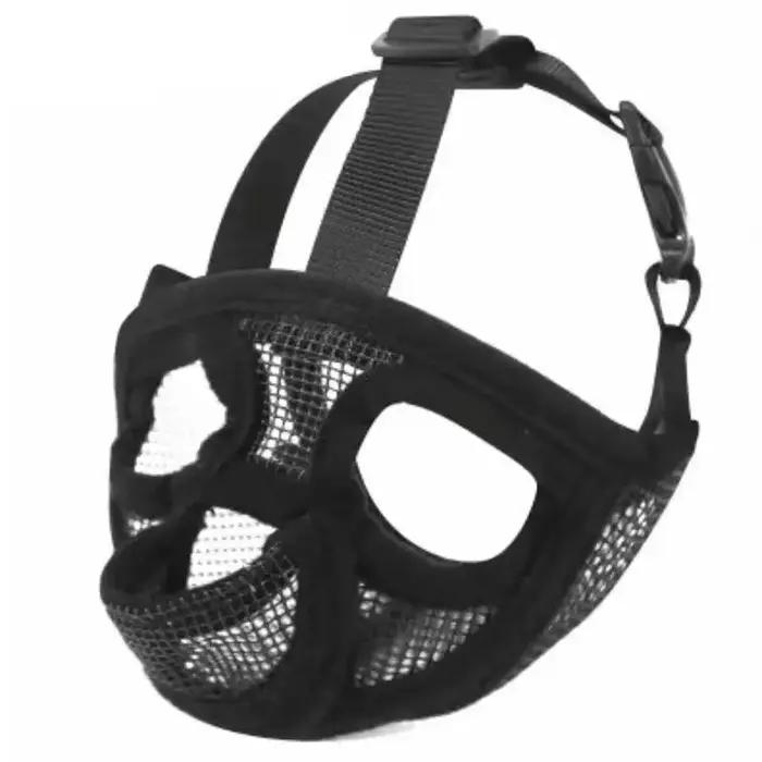 Masque pour chien de compagnie