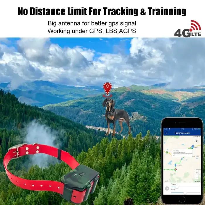 Collier Gps de traqueur d'animaux pour chiens
