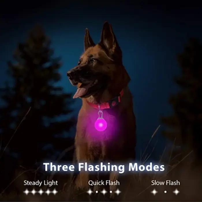 Lampe de poche LED suspendue pour chien et chat
