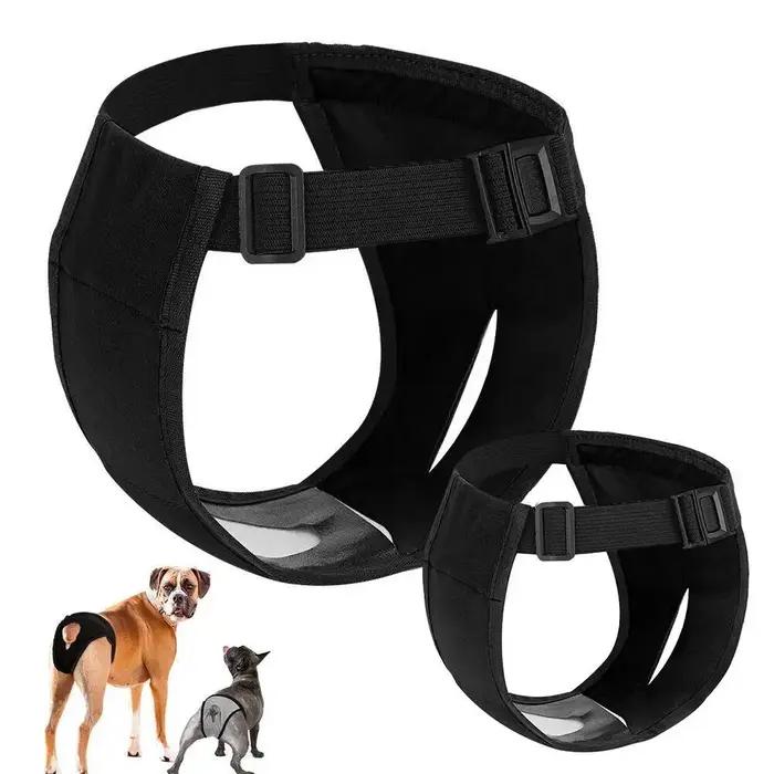 Culottes pour chien femelle avec 3 coussinets en coton