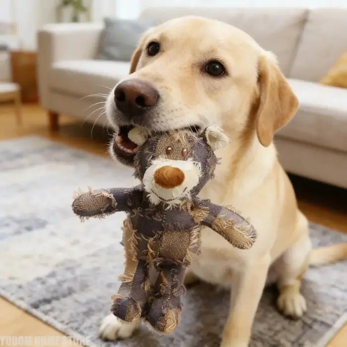 Jouet en peluche pour chien en forme d'ours mignon avec son