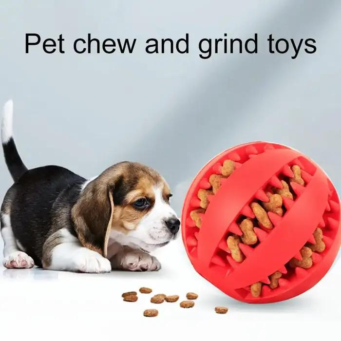 Balle distributrice interactive de friandises pour chien
