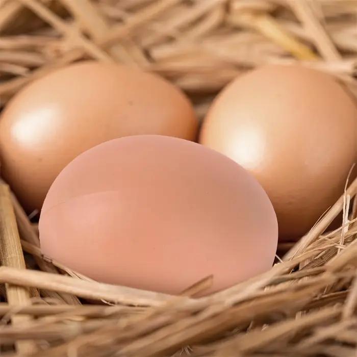 6/12/18/30 pièces oeuf à couver poule de pâques volaille trappe élevage Simulation faux oeufs artificiels en plastique pour aider les poulets la peine des oeufs