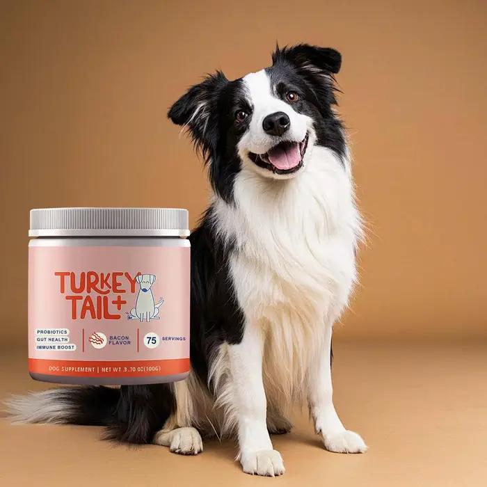 Complément Probiotique pour Animaux de Compagnie - Formule Douce pour Chiens, Soin Quotidien, Soutie