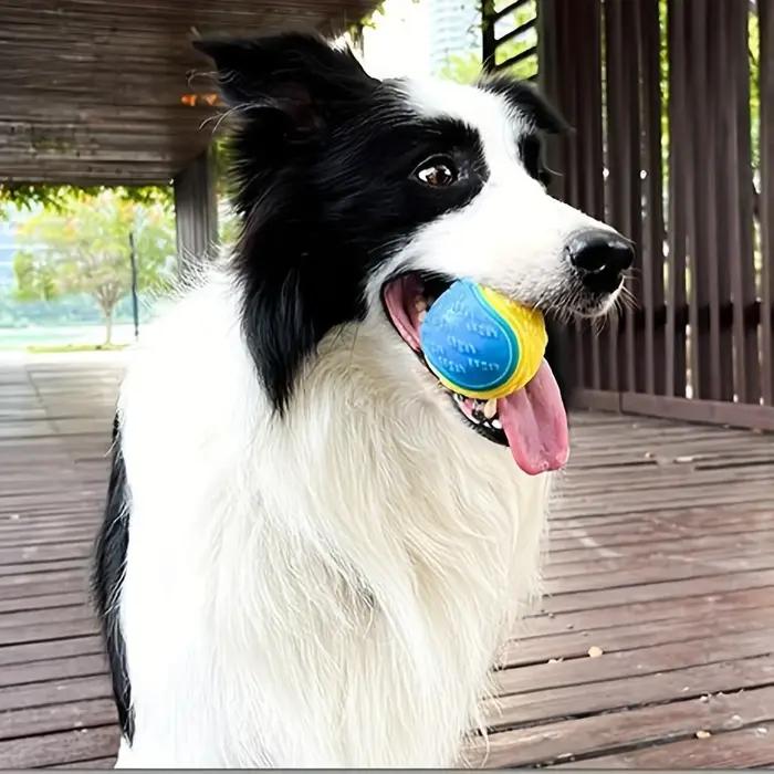 Jouet pour chien en TPR bleu, ballon de meulage des dents, durable et interactif pour chiens, jouet de jeu et d'entretien bucco-dentaire